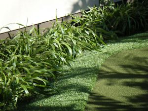 synthetic_turf-1.jpg